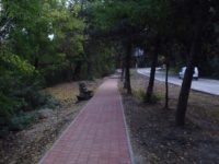 Trebuie găsită o soluţie pentru deblocarea traficului pe str. Mitropoliei