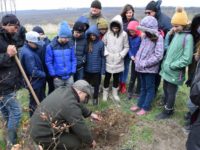 Elevi de la CN „Petru Rareş” au plantat puieţi de fag în pădurea Pătrăuţi