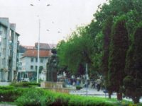 Festivalul „Folkever”, ediţia a IX-a