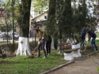 Curăţenie generală în Fălticeni
