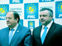 Trebuie să recunoaştem că a realizat o performanţă de neegalat în cadrul PNL şi a închegat o echipă extrem de puternică în jurul lui