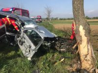 S-a izbit cu maşina de un copac