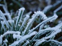 Temperatură sub pragul de îngheţ, ieri-dimineaţă, în judeţul Suceava!