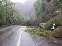 Copaci căzuţi din cauza furtunii au blocat DN 17 între Iacobeni şi Vatra Dornei şi DN 17 B între Crucea şi Broşteni