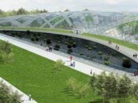 Suceava va avea grădină botanică