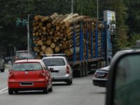Transporturile de masă lemnoasă, prima cauză a deteriorării drumurilor judeţene