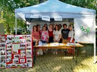 „Voluntar pentru Rădăuţi” – acţiune inedită organizată în premieră de 10 grupuri de iniţiativă şi asociaţii din Rădăuţi