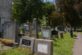 cimitir-evreiesc-radauti-2
