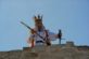 Medieval-Festival-Cetatea-de-Scaun-110