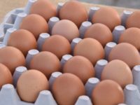 În fermele avicole din ţară nu se foloseşte Fipronil