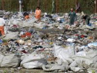 Judeţul Suceava este codaş şi la producţia de gunoi