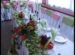 Restaurant Nistru
