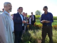 Ziua legumiculturii sucevene, la Bursuceni