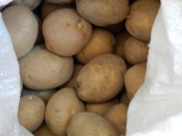 Comercializarea cartofilor de consum sub denumirea „cartofi de sămânţă” se sancţionează cu amendă de până la 5.000 de lei