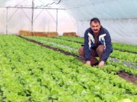 O nouă sucursală good.bee Credit la Matca, județul Galaţi