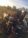 accident Cornu Luncii