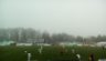 fotbal foresta suceava – oradea 27 nov