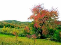 Trebuie să ne vindem mai bine peisajele din judeţ