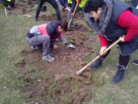 4,7 ha de pădure recâştigate prin campania „Pădurea de Mâine”