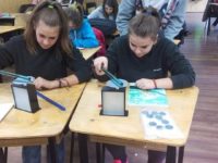 Experiment efectuat de elevii Liceului Ion Luca