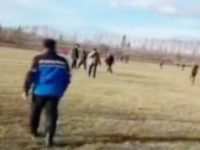Copilaş de 2 ani, mort de frig în pădure, la Vicovu de Sus