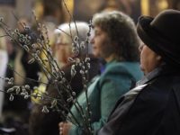 Catolicii suceveni au sărbătorit duminică Floriile şi Ziua Tineretului