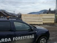 Deficit de personal la Garda Forestieră Suceava