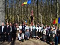 Legendarul stejar din Codrii Cosminului respiră cu duhul lui Ştefan cel Mare