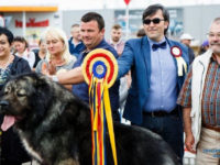 „Bucovina Dog Show 2019”