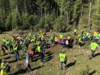 Zeci de copii au lăsat tabletele din mâini şi au participat la o acţiune voluntară de împădurire