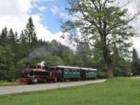 „Mocăniţa” de la Moldoviţa va parcurge din nou întregul traseu