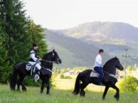 Un clip de promovare a turismului cultural şi de city break, care nu include Bucovina, a adunat numeroase critici
