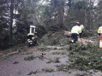 Furtunile au lăsat în beznă 600 de locuinţe, au doborât 10 arbori, au colmatat un podeţ şi au inundat o gospodărie