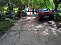 În Suceava trebuie reintroduse două noţiuni străine lui Ion Lungu, Lucian Harşovschi şi PNL-ului: „Ordine şi Progres”!