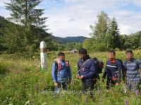 Patru persoane din Bangladesh, luate pe sus de poliţiştii de frontieră suceveni