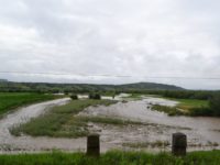 Peste 1.100 ha de terenuri agricole afectate de ploile abundente şi revărsările de ape