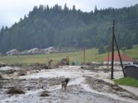 Inundaţiile au afectat 13 drumuri judeţene, patru poduri şi 27 de podeţe