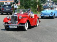 „Dacii liberi în căutarea zimbrului”