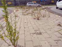 A fost emis ordinul de începere a lucrărilor la ruta ocolitoare a Sucevei
