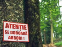 Suceava, între cele 18 judeţe care marchează Săptămâna ariilor protejate