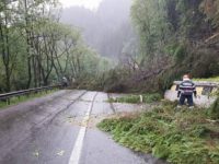 DN 17, pe sensul de mers Vatra Dornei – Iacobeni, blocat joi seara din cauza unor arbori căzuţi pe carosabil