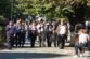 fanfare 4