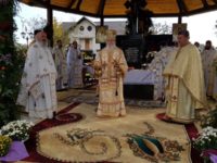 Sărbătoare în Parohia Vicovu de Jos