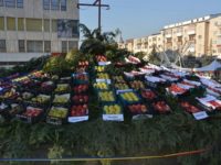 Numeroşi pomicultori sunt prezenţi la Târgul Mărului din Fălticeni