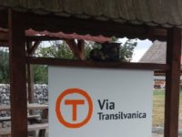 Proiectul de trasee cicloturistice al CJ Suceava cu judeţele Bistriţa-Năsăud şi Mureş are şanse mari să fie finanţat prin PNRR