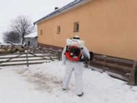 Intervenţie la apariţia pestei rumegătoarelor mici, într-o fermă cu 220 de oi