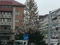 Pomul de Crăciun a fost instalat în centrul Sucevei