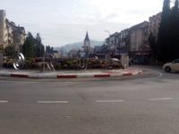Gura Humorului va fi gazda elitei europene a silviculturii