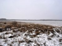 Zăpadă salvatoare, după luni întregi de secetă