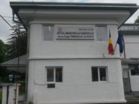 Continuă să crească numărul firmelor nou înfiinţate în judeţ